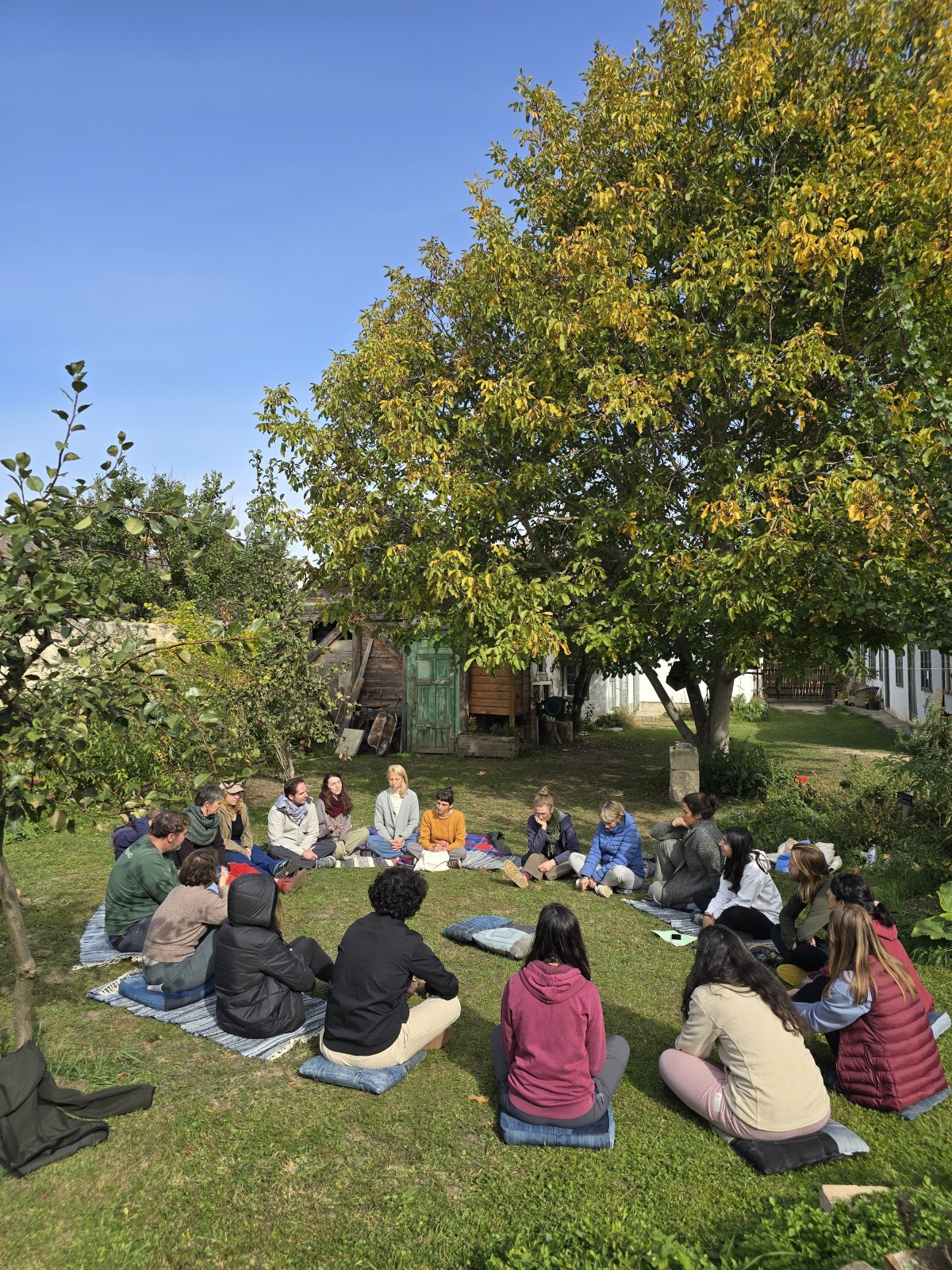 grupo de personas reunido sentado en círculo en un césped